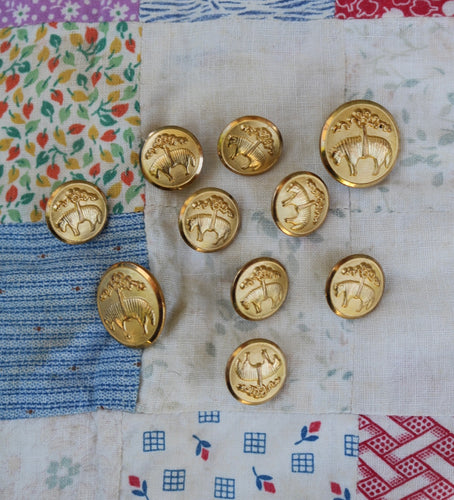 vintage waterbury buttons | Ornate Gold Vintage Animal Button Lot