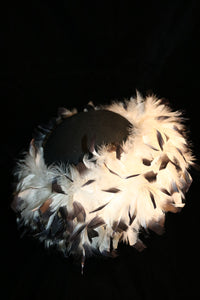 Black & white high fashion feather hat